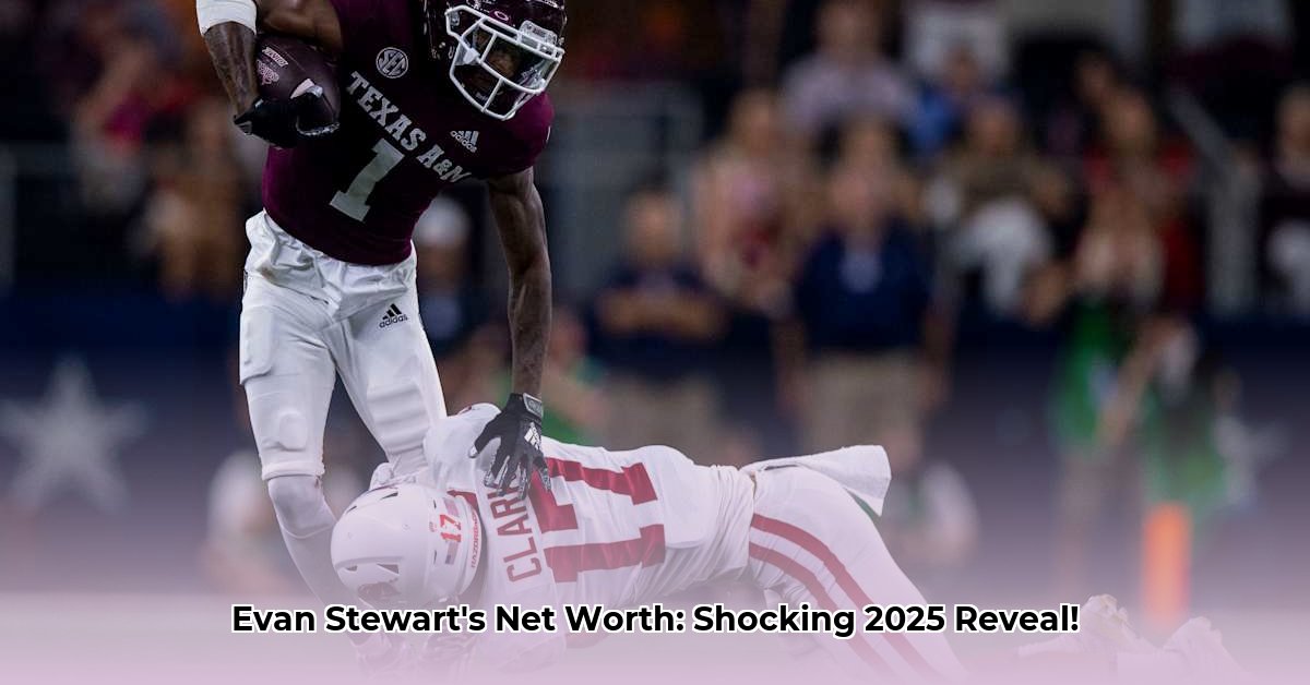 evan-stewart-net-worth